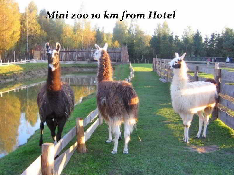 Hotel Pajurio Vieskelis Klaipėda Exteriér fotografie